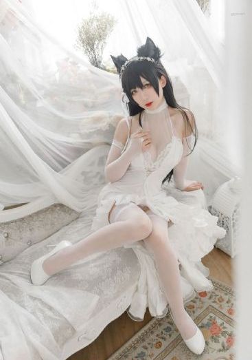 巡回检察组电视剧在线观看